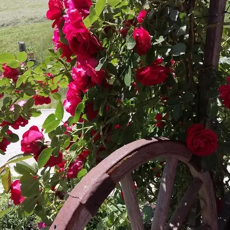 Kuanerhof 2-4 Personen Appartement Ried im Zillertal